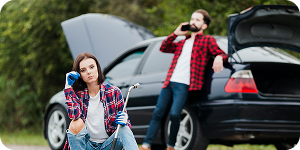 Travelers and Tourists